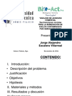 Analisis de Levadura Comercial de Saccharomyces Cervisiae Para La Remediación de Suelos Contaminados Por