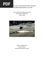 Download PRNPR Shark Skate inventory by Jentan SN3626982 doc pdf