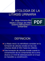 281879506-Fisiopatologia-de-La-Litiasis-Urinaria-1.pdf