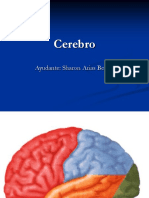 Cerebro (1)