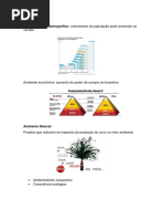 Macroambiente demográfico.docx