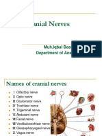 The Cranial Nerves: Muh - Iqbal Basri Department of Anatomy