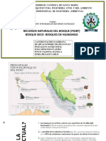 Recursos Naturales de Bosques