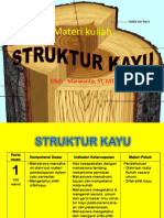 Struktur Kayu 1