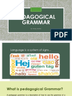 Pedagogical Grammar: by Shirley Muñoz