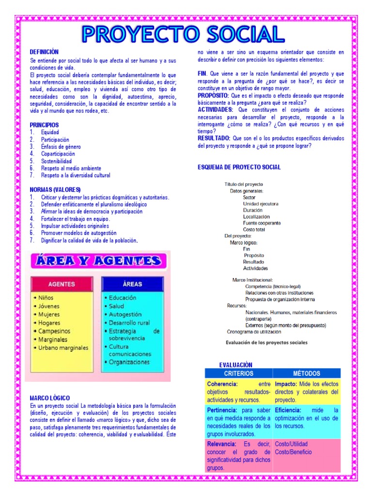 Esquema de Proyecto Social y Evaluación | PDF | Calidad (comercial) | Vida