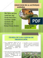 Costos de Produccion