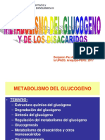 Metabolismo Del Glucogeno Upads 2017