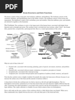 Download Brain Structures and Their Function a-Level Biology by Ujjal Kumar Sarker SN36276582 doc pdf