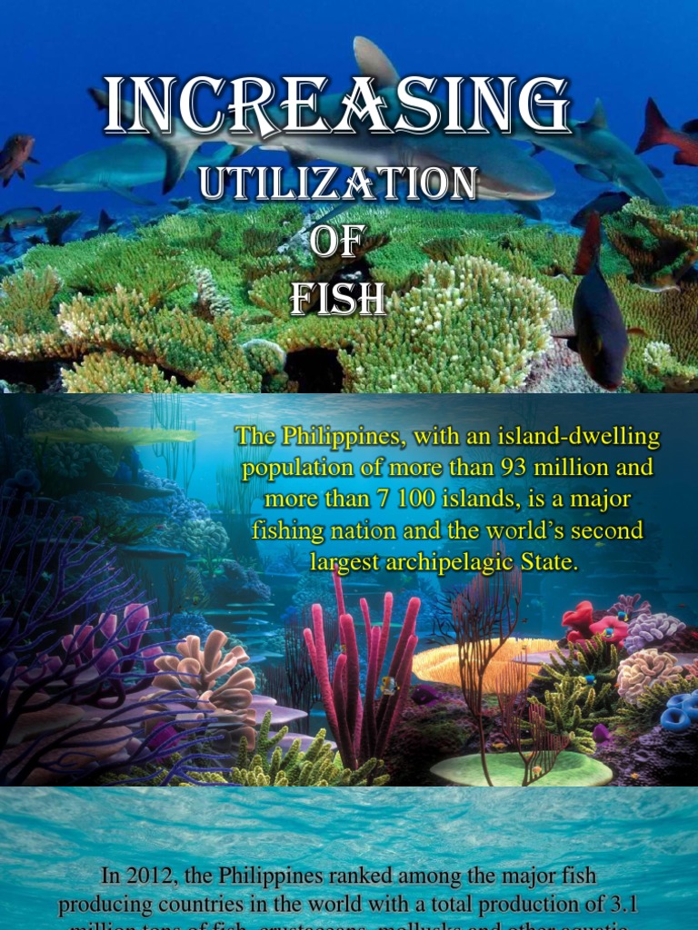 Increasing Utilization of Fish | PDF
