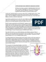 Mammalian lung structure for rapid gas exchange