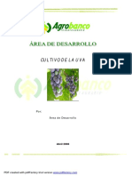 4_cultivo_de_la_uva.pdf