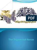 CNS Trigeminal Nerve(v)