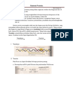 Sintesis Protein