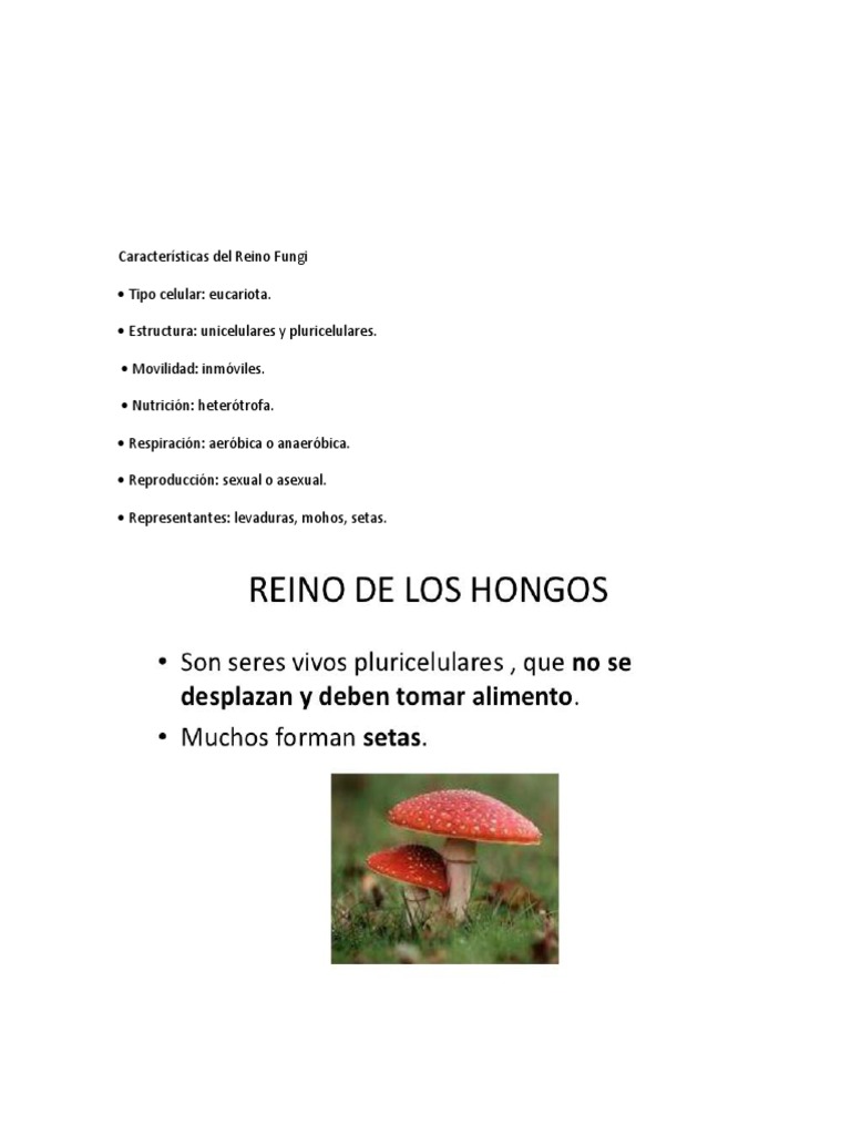 Características Del Reino Fungi | PDF | Hongo | Espora