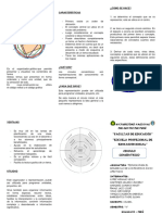 El Círculo Concentrico