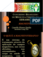 Palestra-EBRAMEC-MAGNETO.pdf