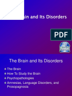 The Brain and Its Disorders