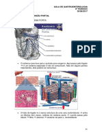 Aula de Gastroenterologia sobre Hipertensão Portal e Doenças Hemorroidárias