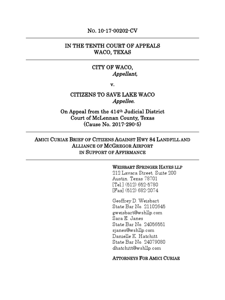 Amicus Curiae Brief Template