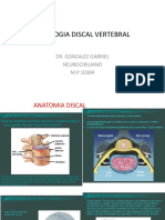Patologia Discal Vertebral 