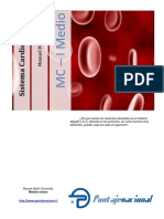 Sistema Cardiovascular