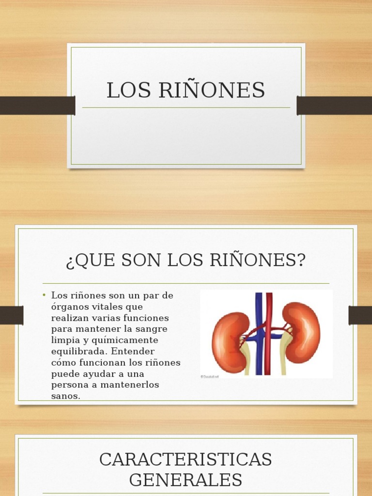 Los Riñones | Riñón | Orina | Prueba gratuita de 30 días | Scribd
