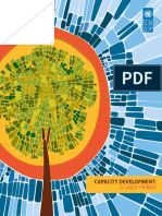 Pnud Capacity Development Primer