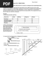 Cladogram CH 19 Part A