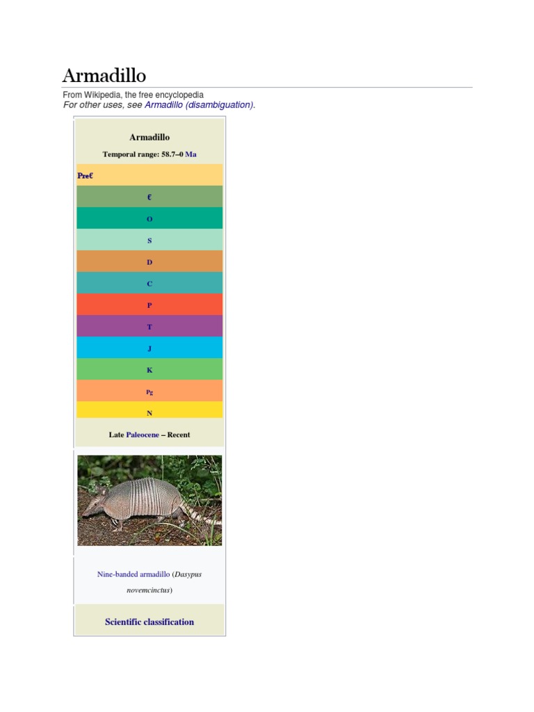 Armadillo For Other Uses, See PDF