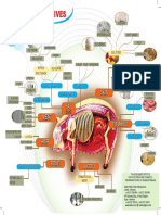 babidanturunannya1.pdf