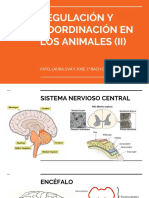 Regulación y Coordinación en Los Animales (Ii) PDF