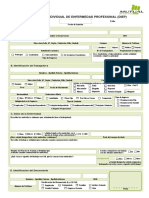 Formulario DIEP