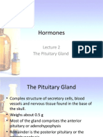 Hormones: The Pituitary Gland