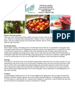 plums info.pdf
