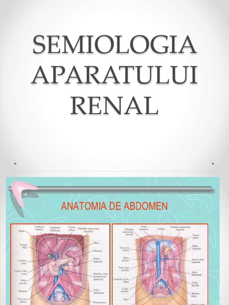 Semiotica Aparatului Renal: Durere și Mictiune | PDF | Wellness
