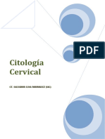 Salvador Luna - Citologia Cervical