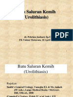 DR FEBRIAN Batu Saluran Kemih