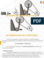C.- DETERMINACIÓN DEL WORD INDEX.pdf