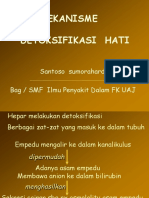 Mekanisme Detoksifikasi Hati Santoso