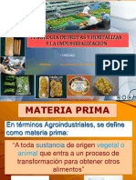 Fruta y Su Industrialización - Copia