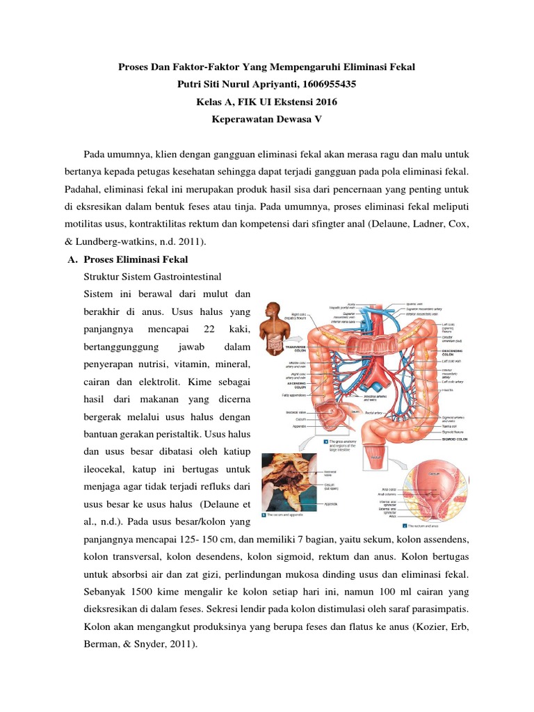 Proses Eliminasi Fekal | PDF