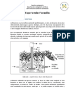 Flotacion