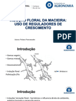 Dormência e Indução Floral Macieira