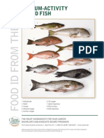 FoodID-MediumActivityRoundFish