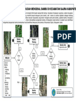 Identifikasi Bambu Bergambar