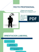 Miproyectoprofesional-NOELIA DEL CASTILLO