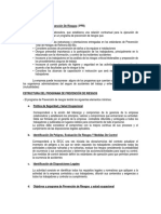 2 - Anexo #1 Programa Prevención Estándar E-024