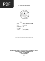 Anatomi dan Fungsi Tubuh Belalang | PDF | Kajian Bahasa Asing | Sains