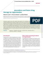 Interventional Procedures and Future Drug Therapy for Hypertension